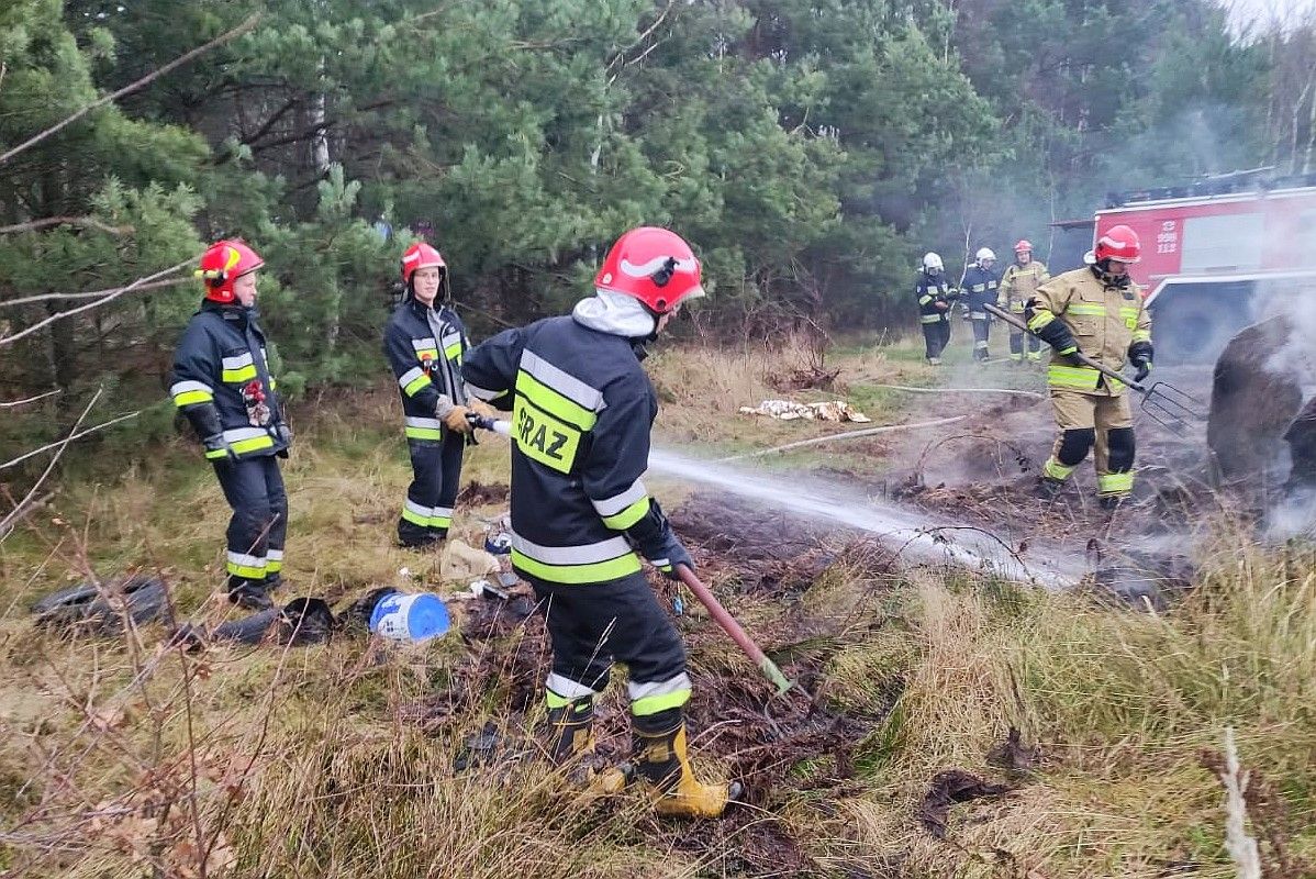 pożar pole wierzbowa