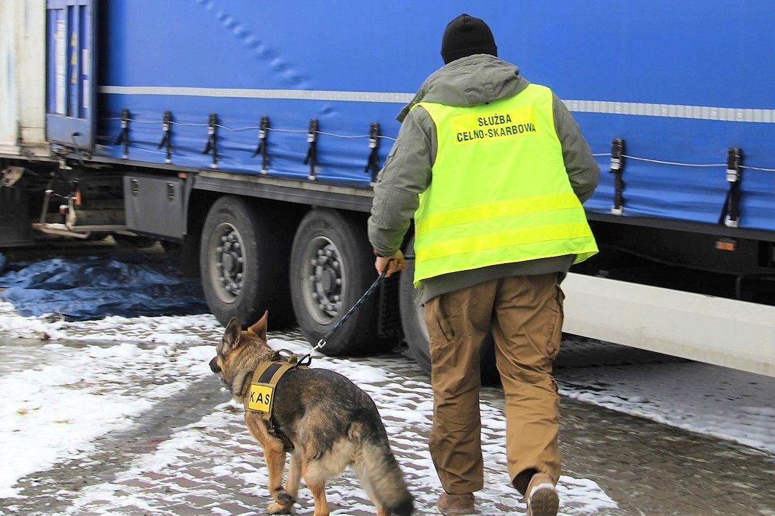 dog officer