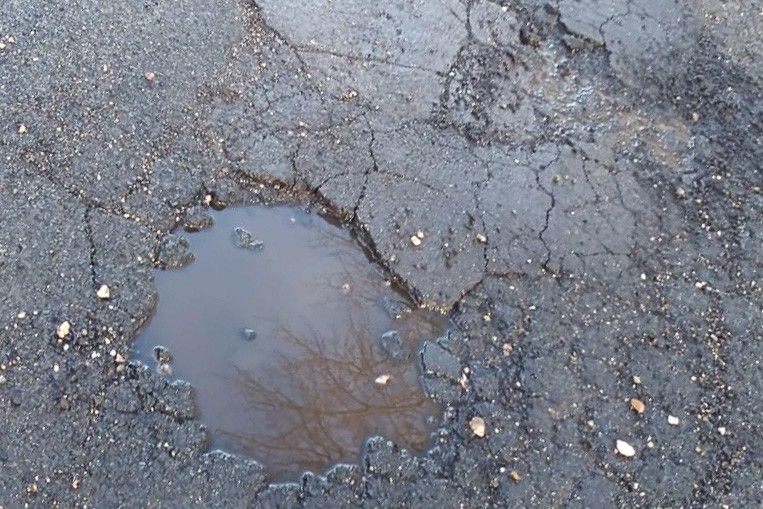 droga parkoszów