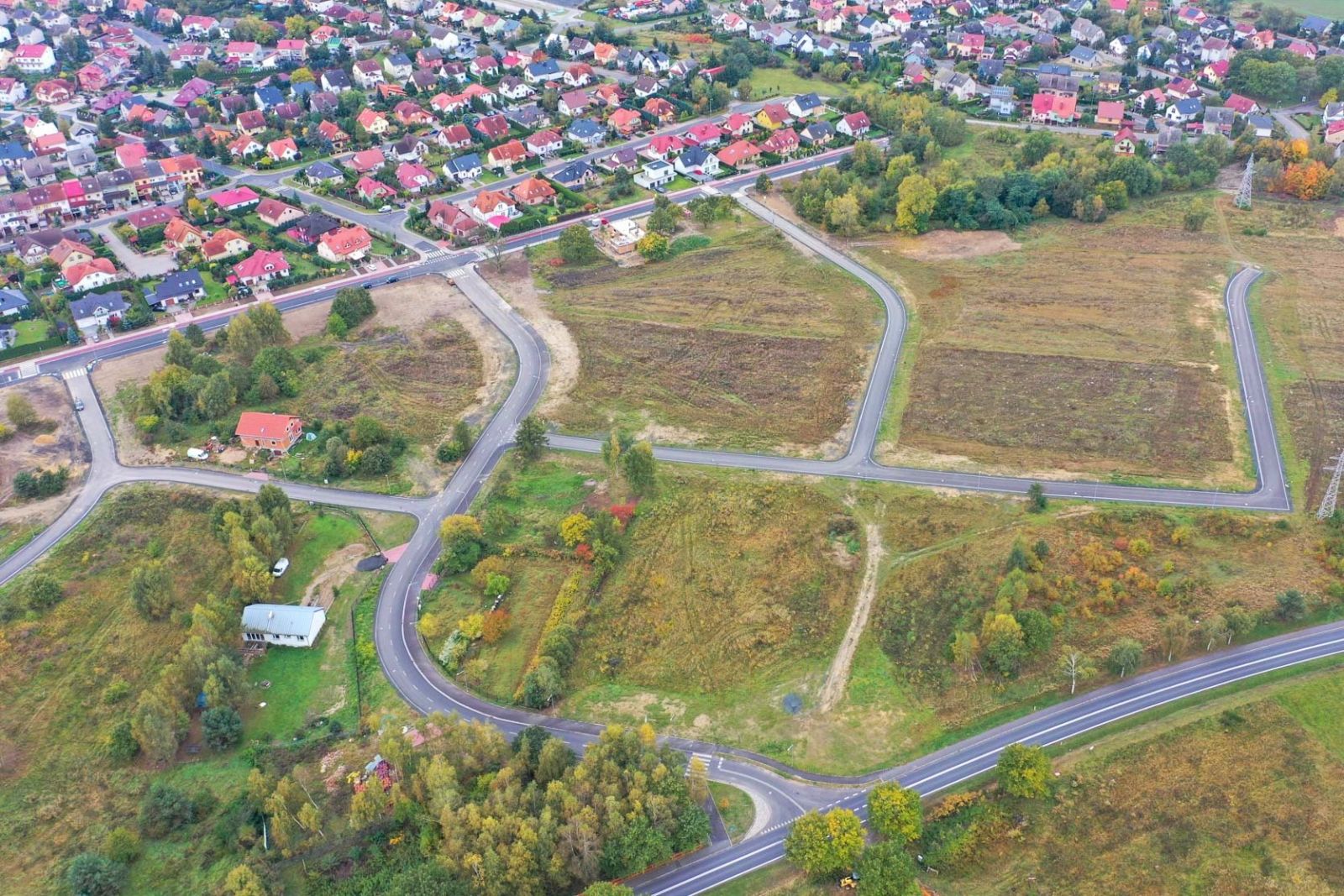 ptasia widok