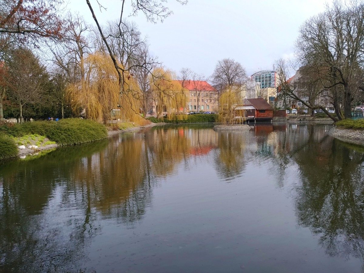 staw łabędzie łajba