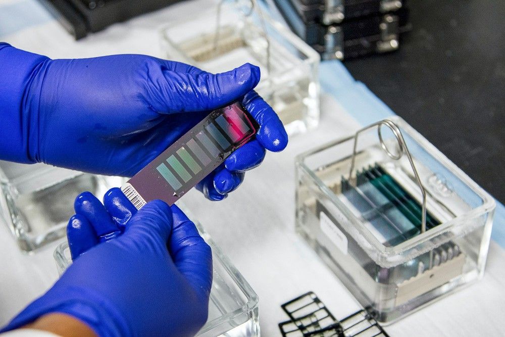laboratorium dna