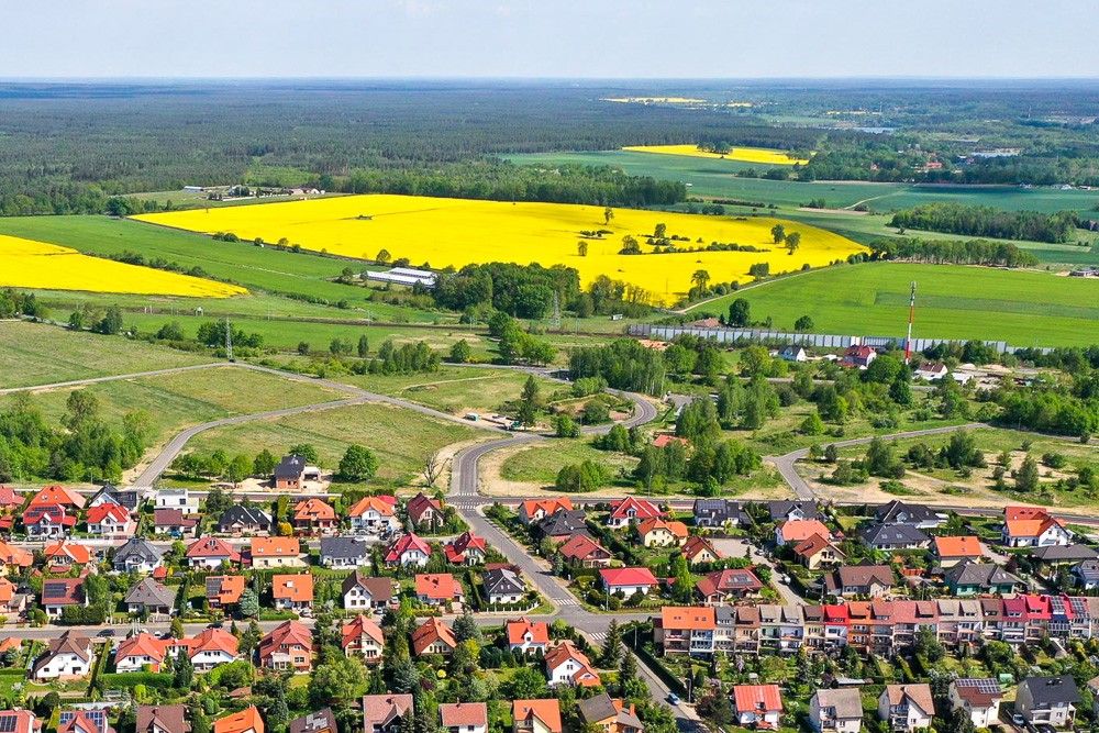 ptasia widok