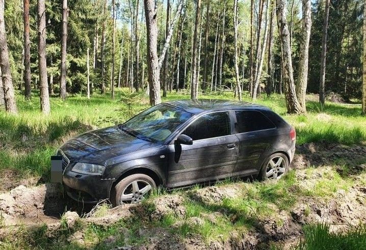 samochód las
