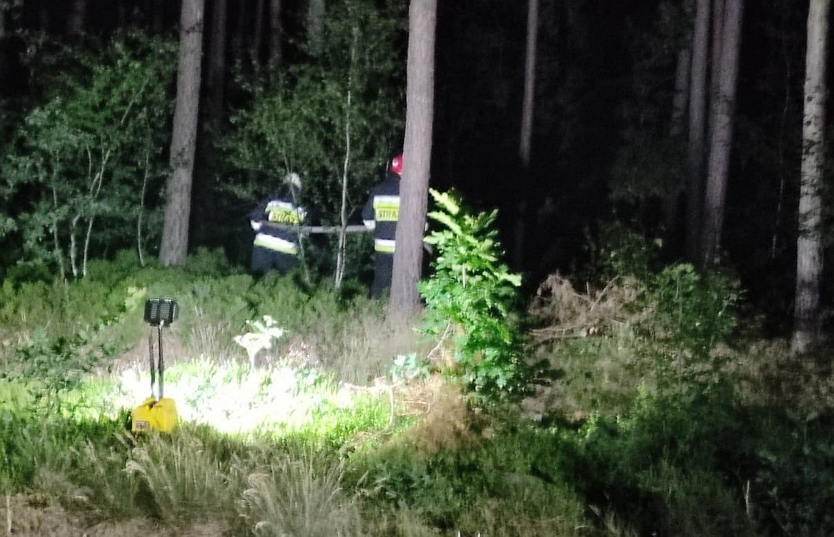 pożar strażak las