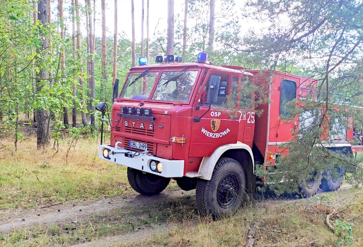 pożar las wierzbowa