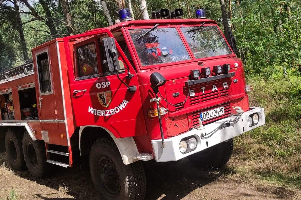 osp wierzbowa