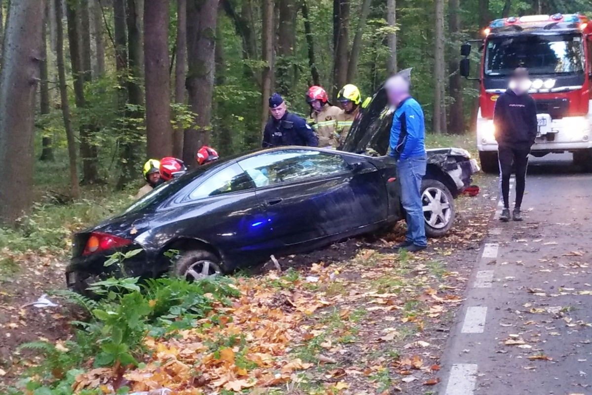 auto rów wartowice