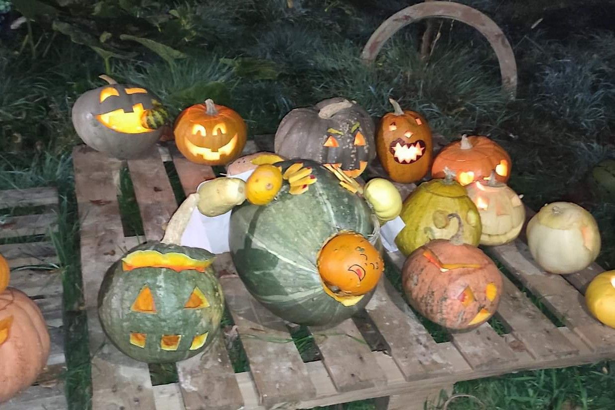 dynie halloween