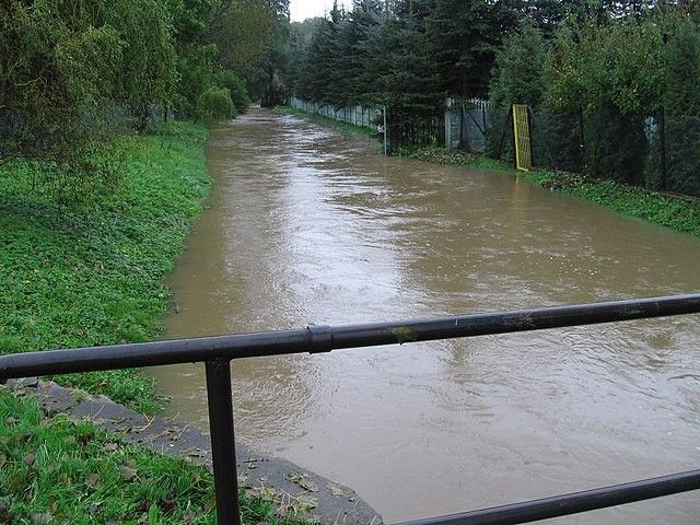 bobrzyca rzeka