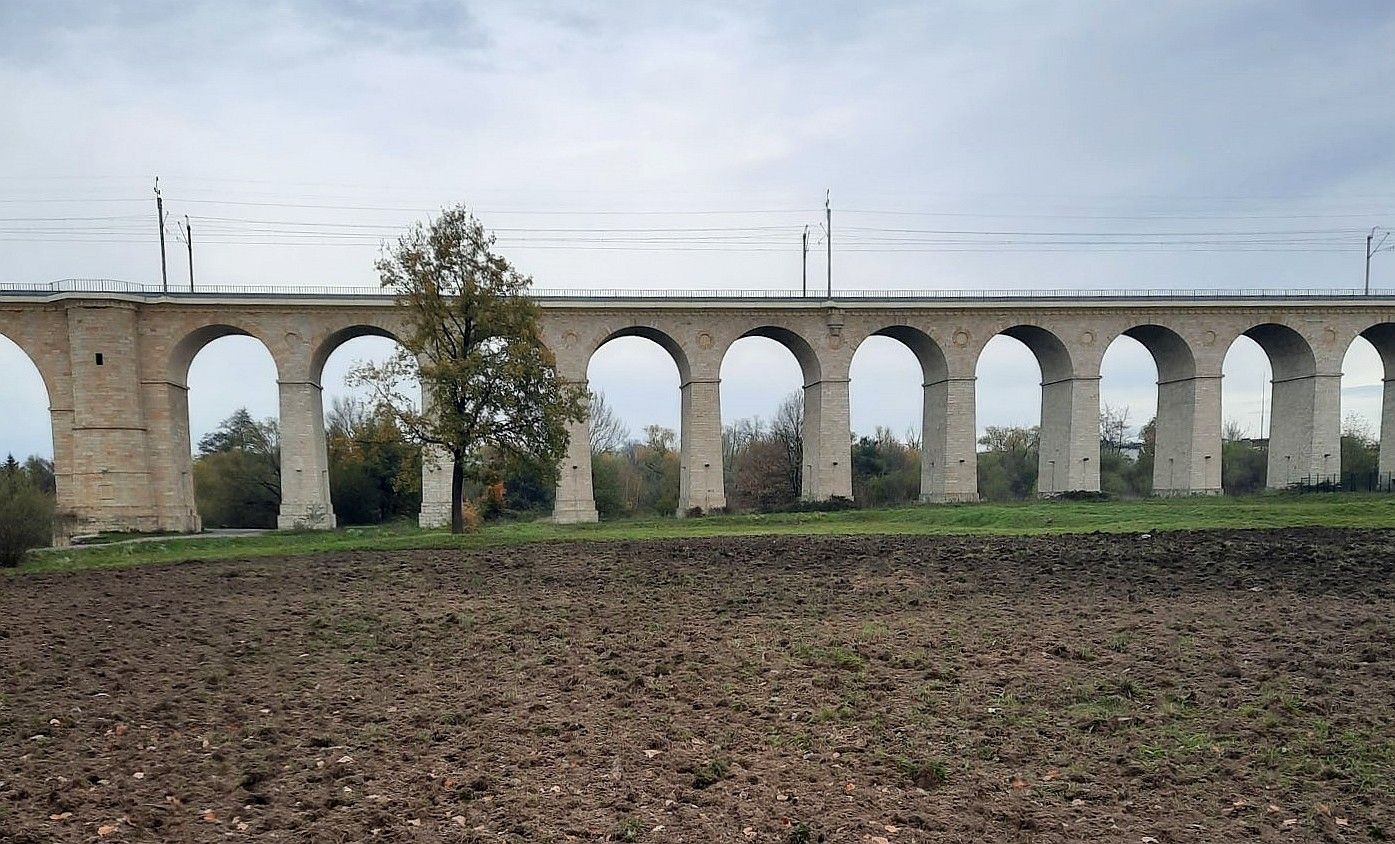 wiadukt kwitnąca łąka inwestycja