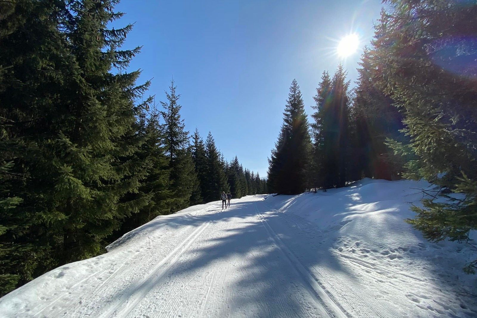 góry śnieg polana