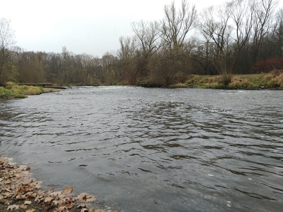rzeka bóbr