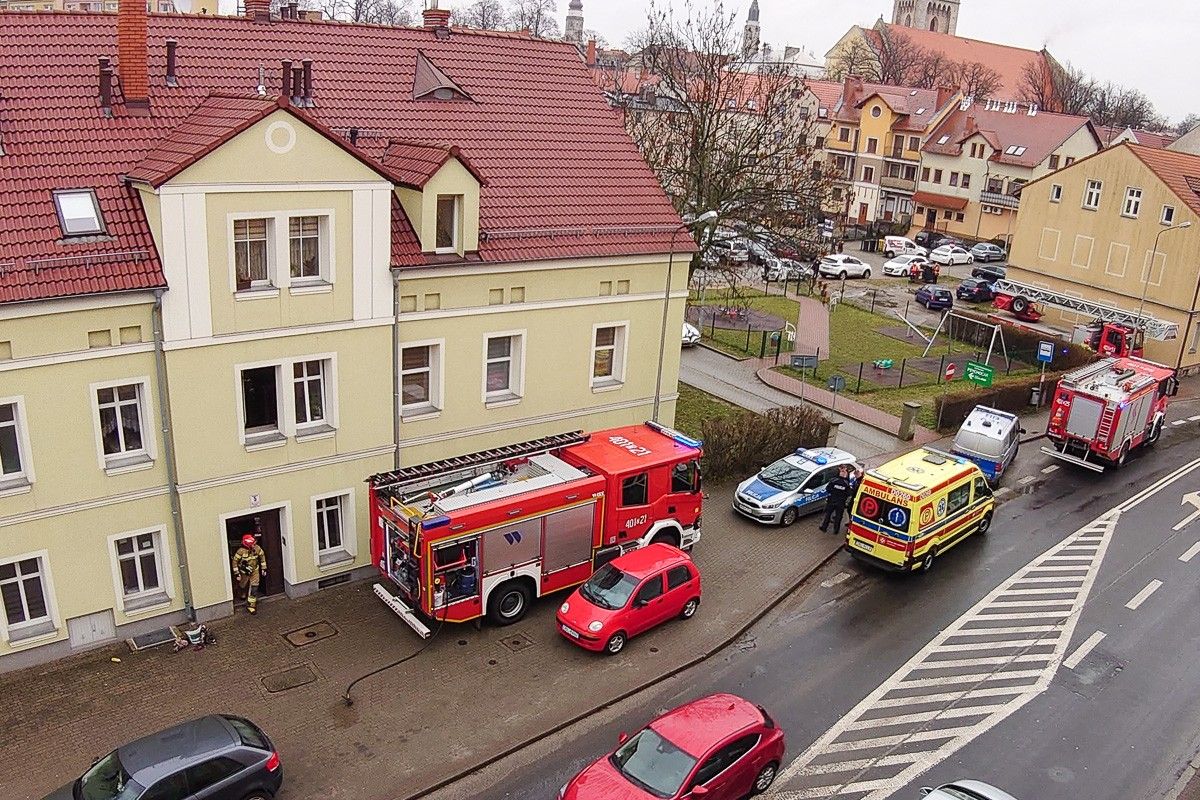 akcja łokietka