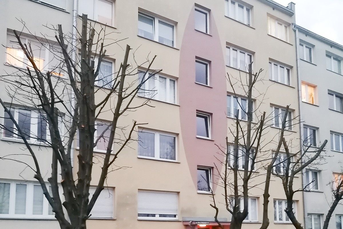 drzewo