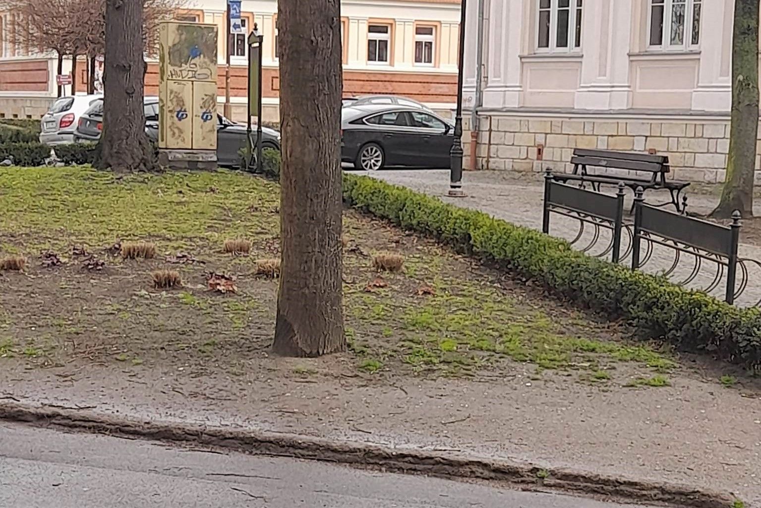 al. partyzantów