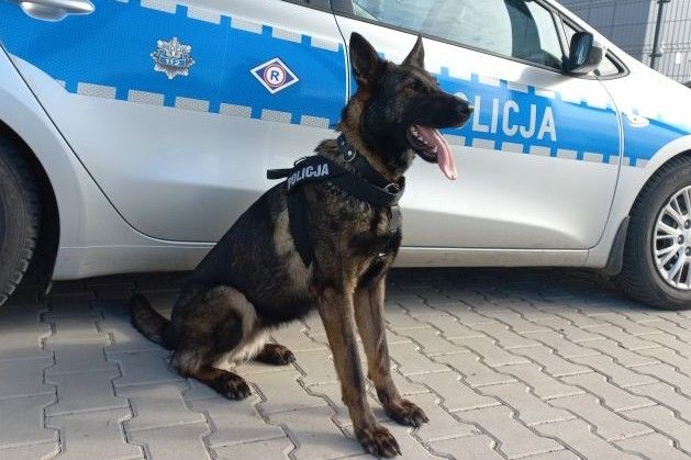 Forma