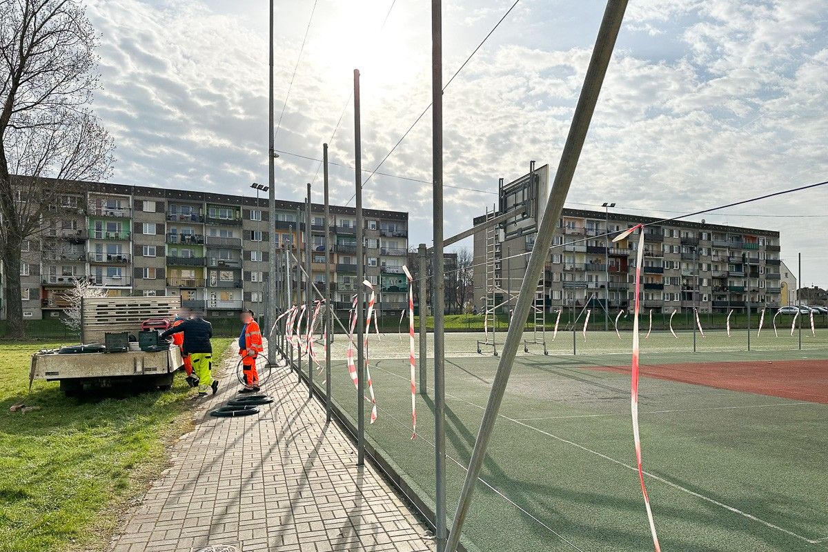 orlik