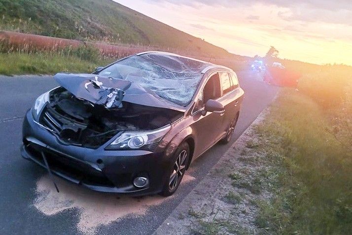 auto