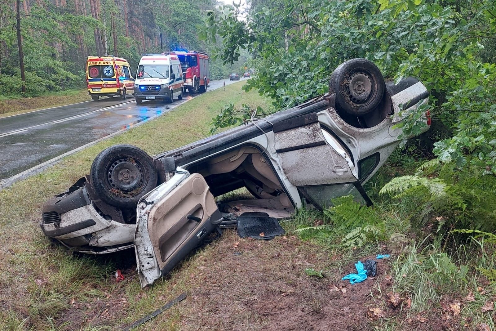 auto wypadek