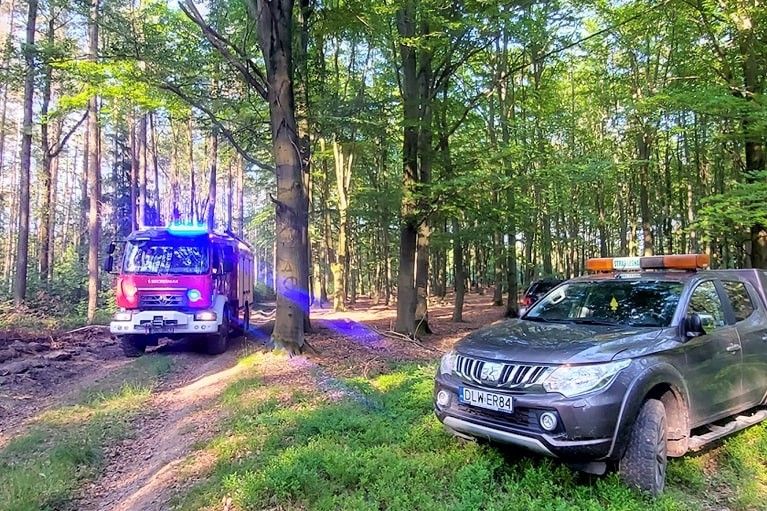 wóz strażacki las