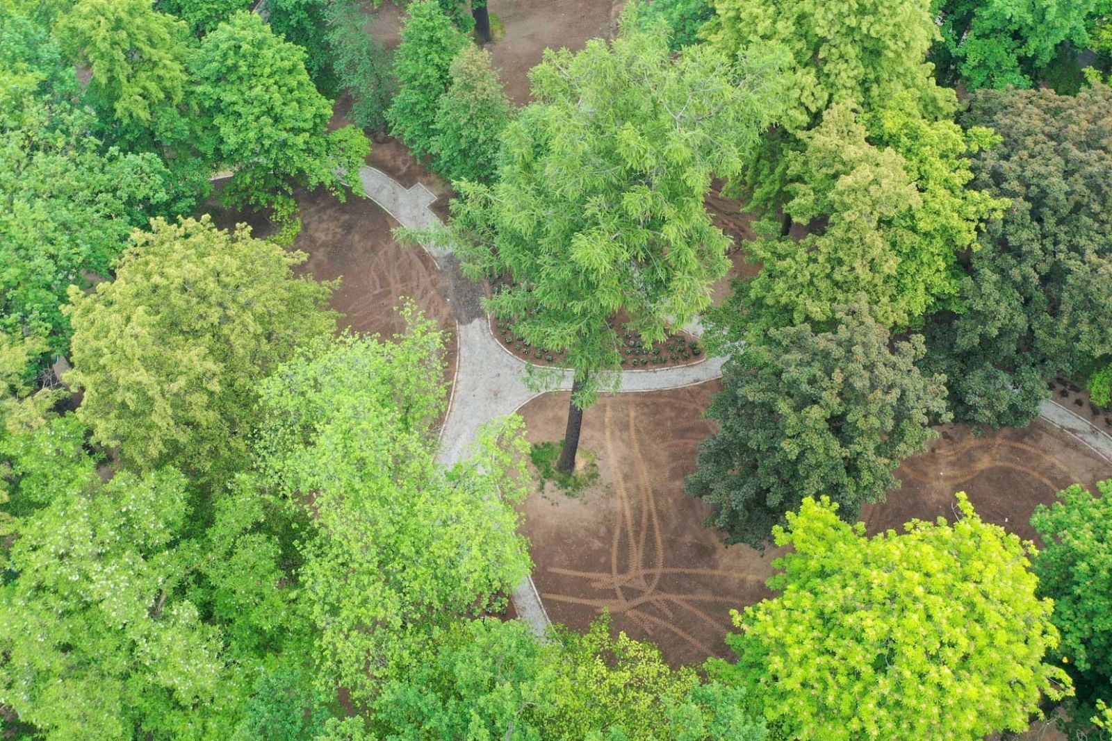 park zgorzelecka