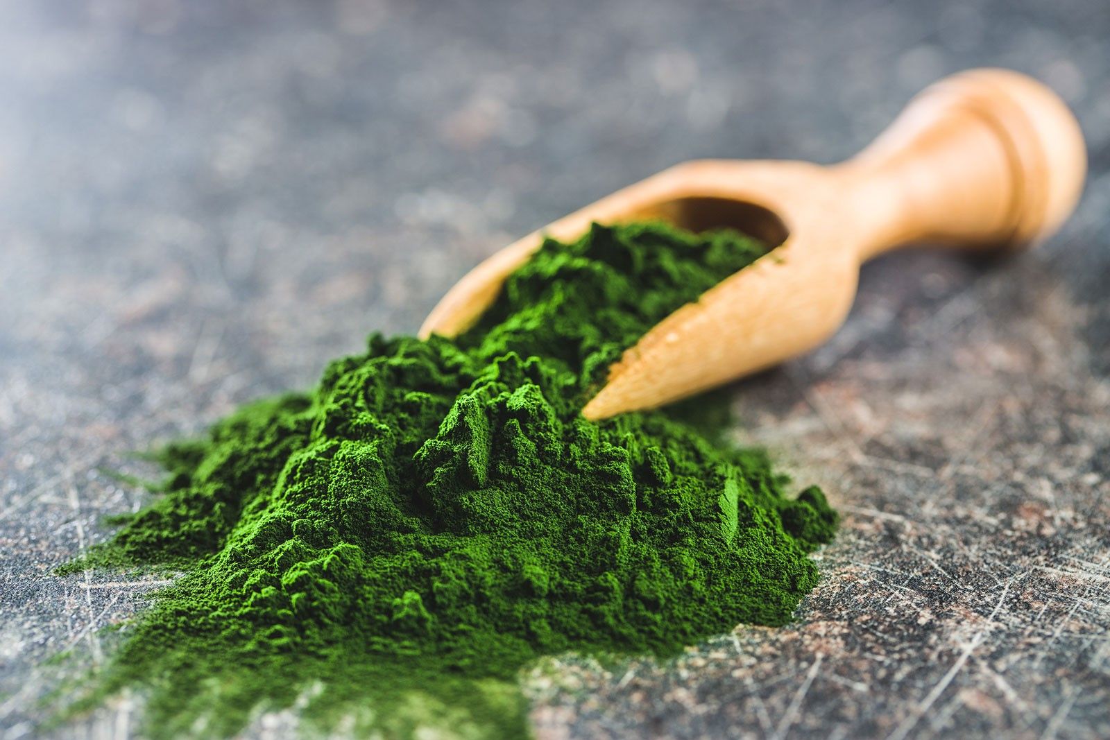 Chlorella