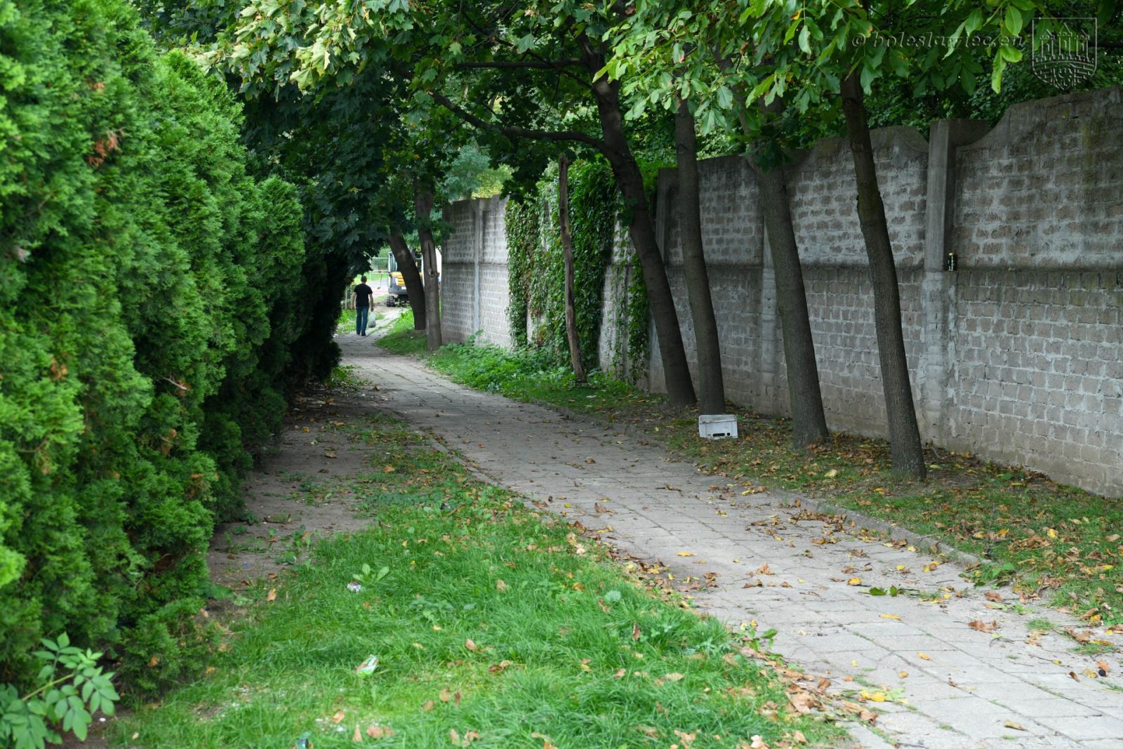 chodnik