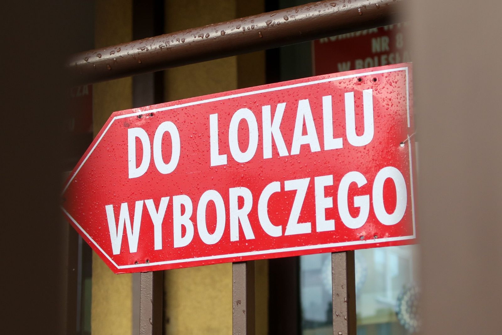 Wybory