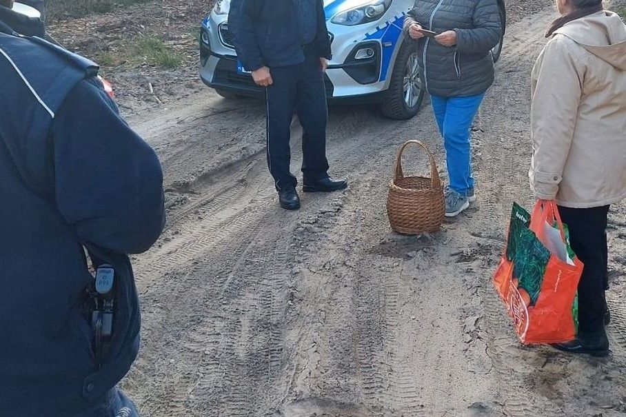 policja grzybiarka