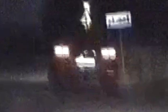 auto