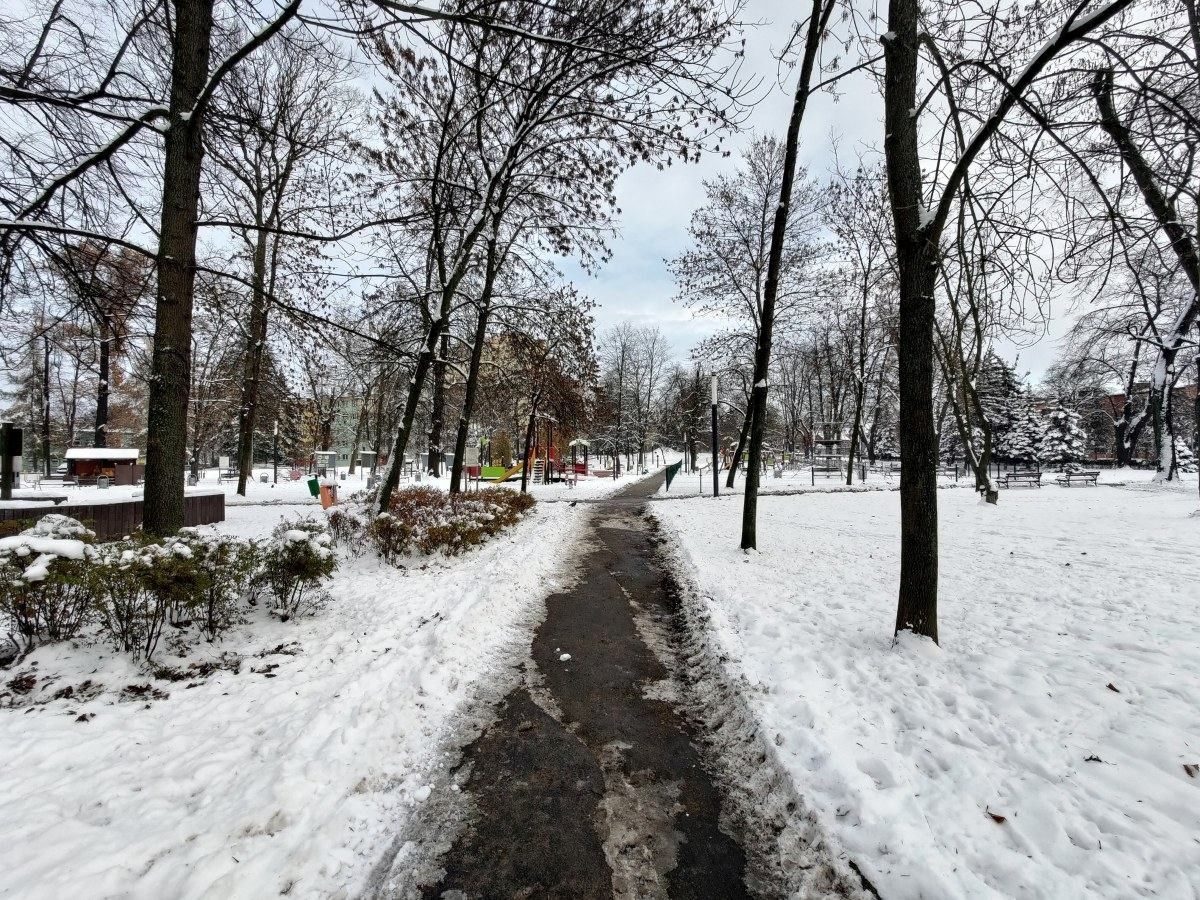 park bonina zima