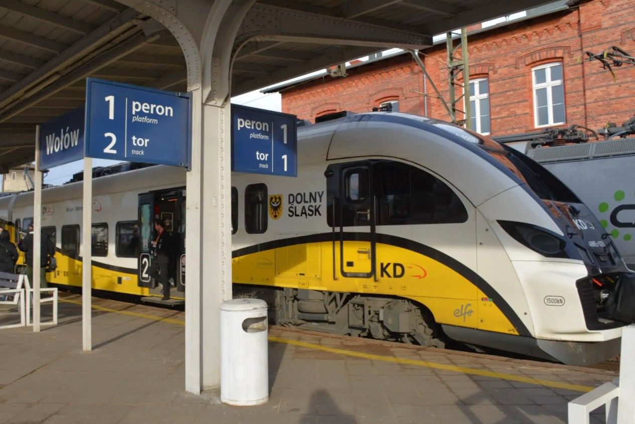 pociąg wołów