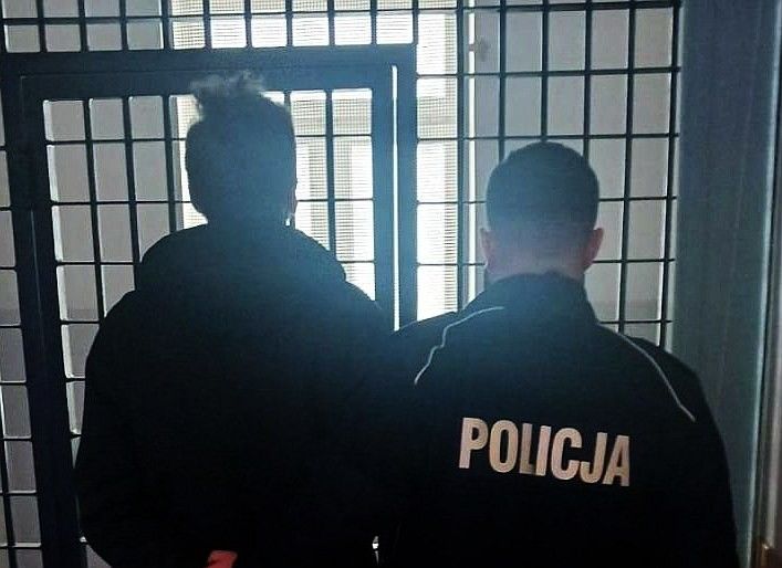 zatrzymanie policja
