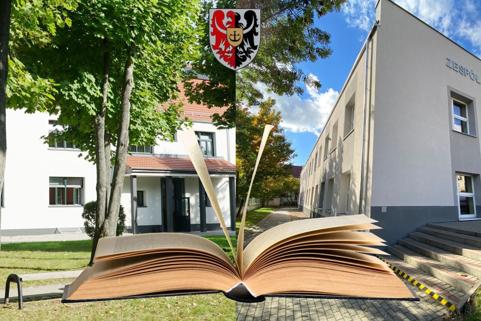 grafika