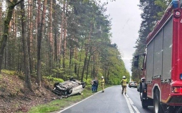 dachowanie dobra kliczków