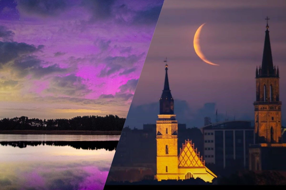 kolaż