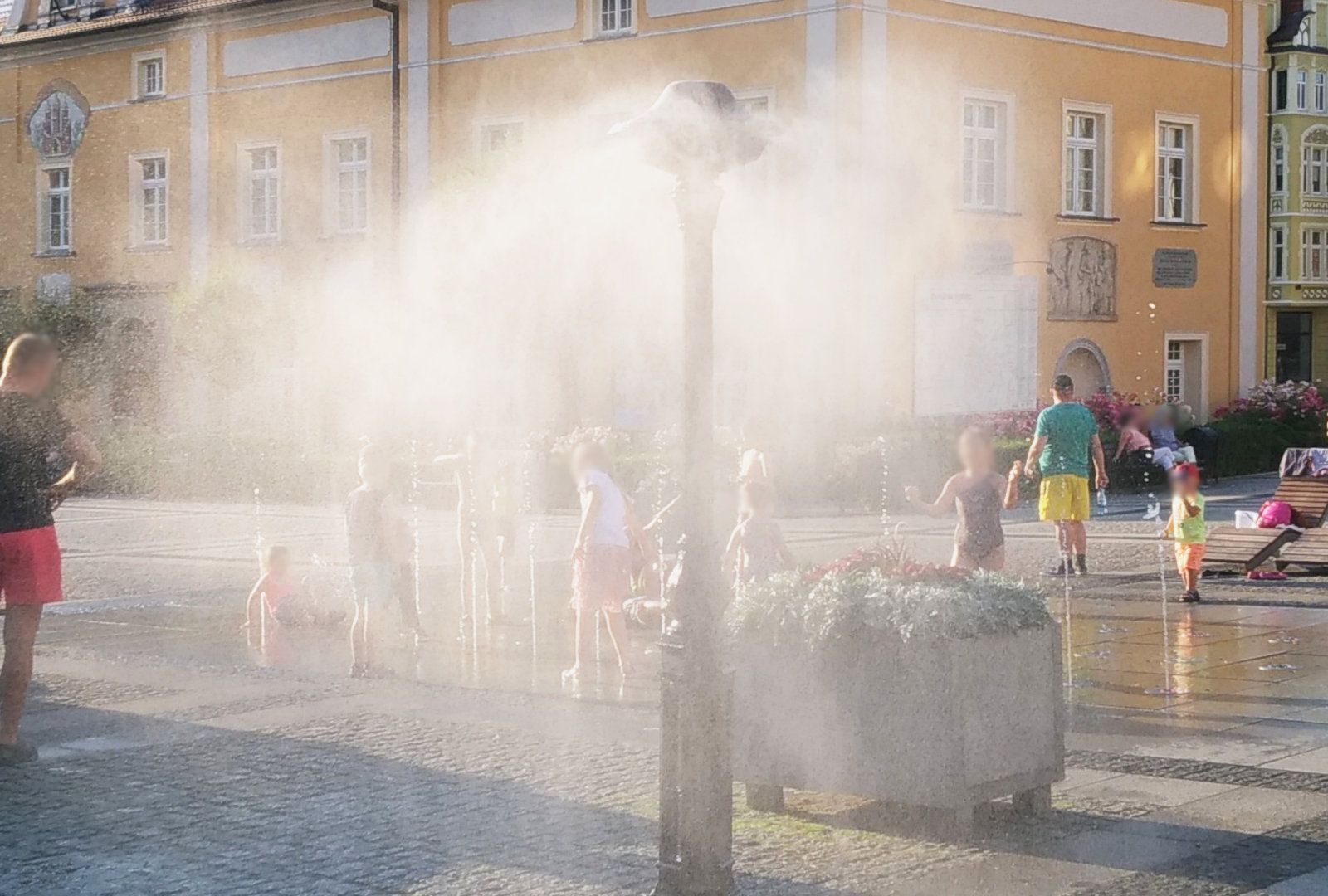 grzybek rynek chłodzenie