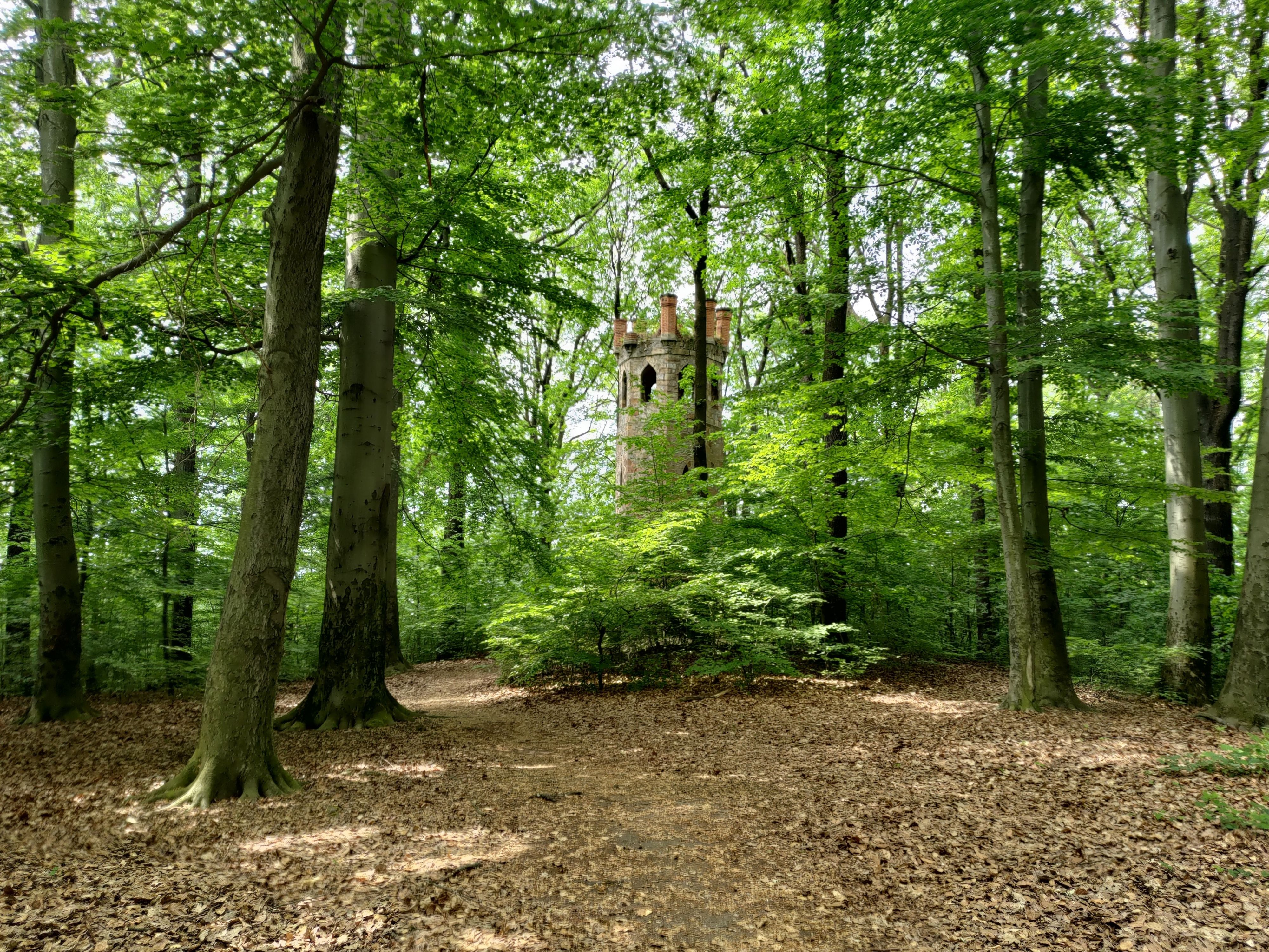 Jenny Tower, Piastów forest