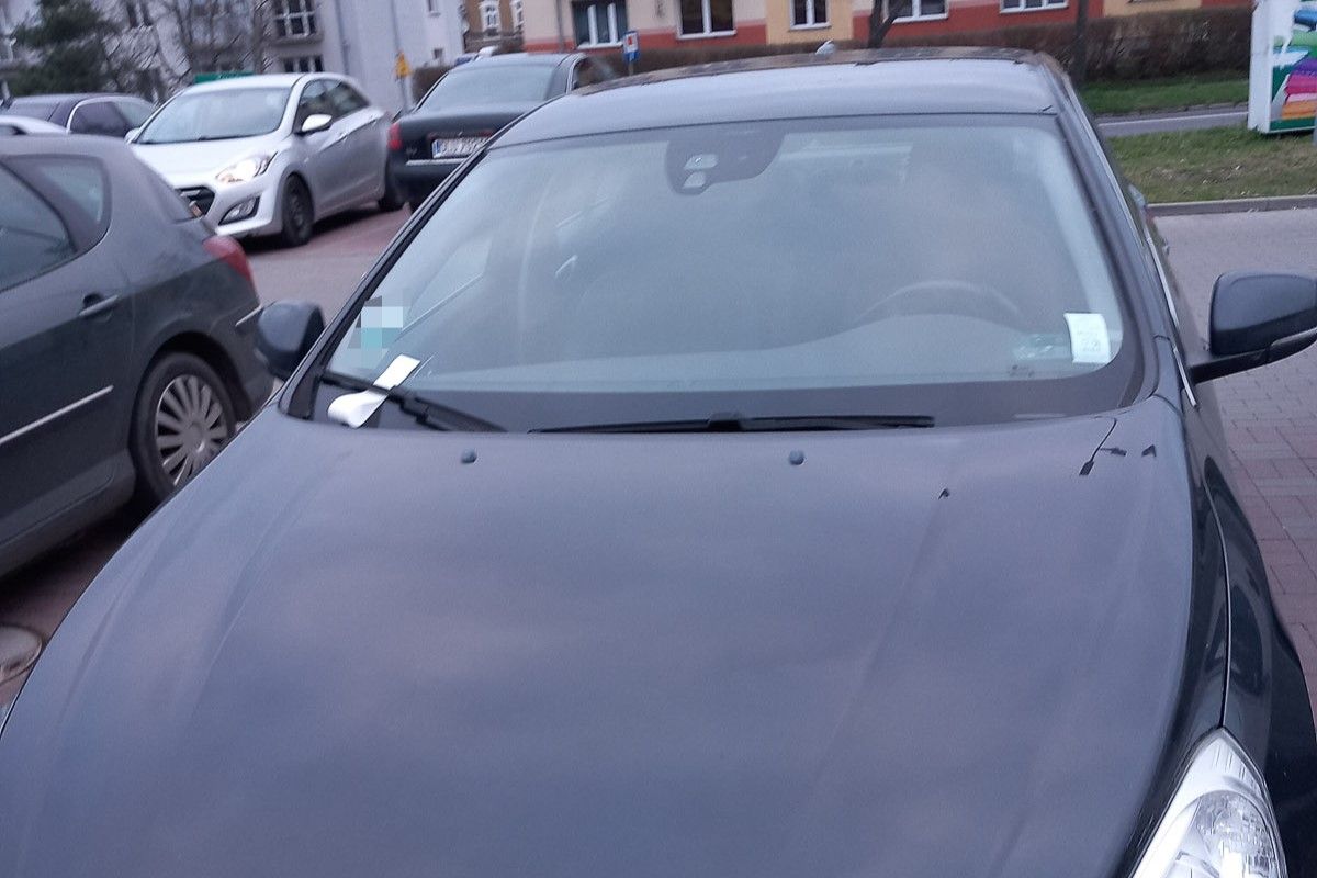 auto
