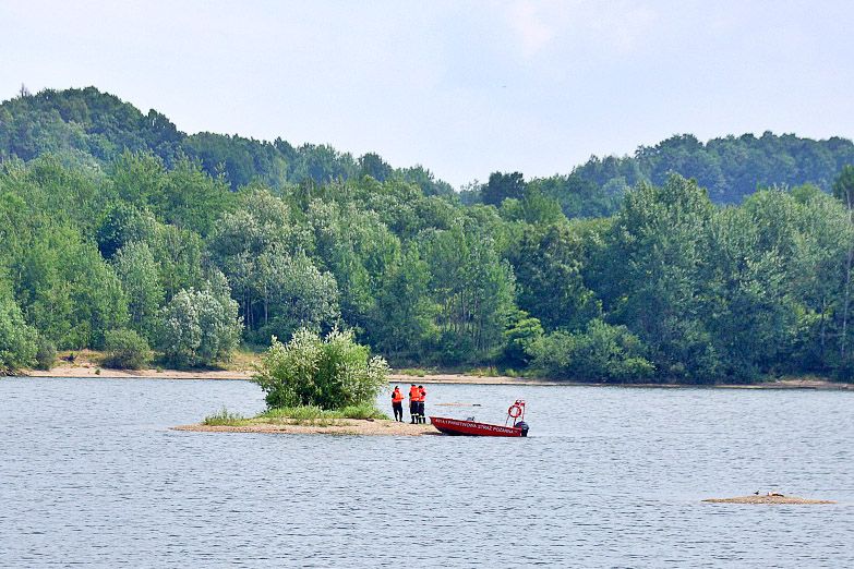 akcja