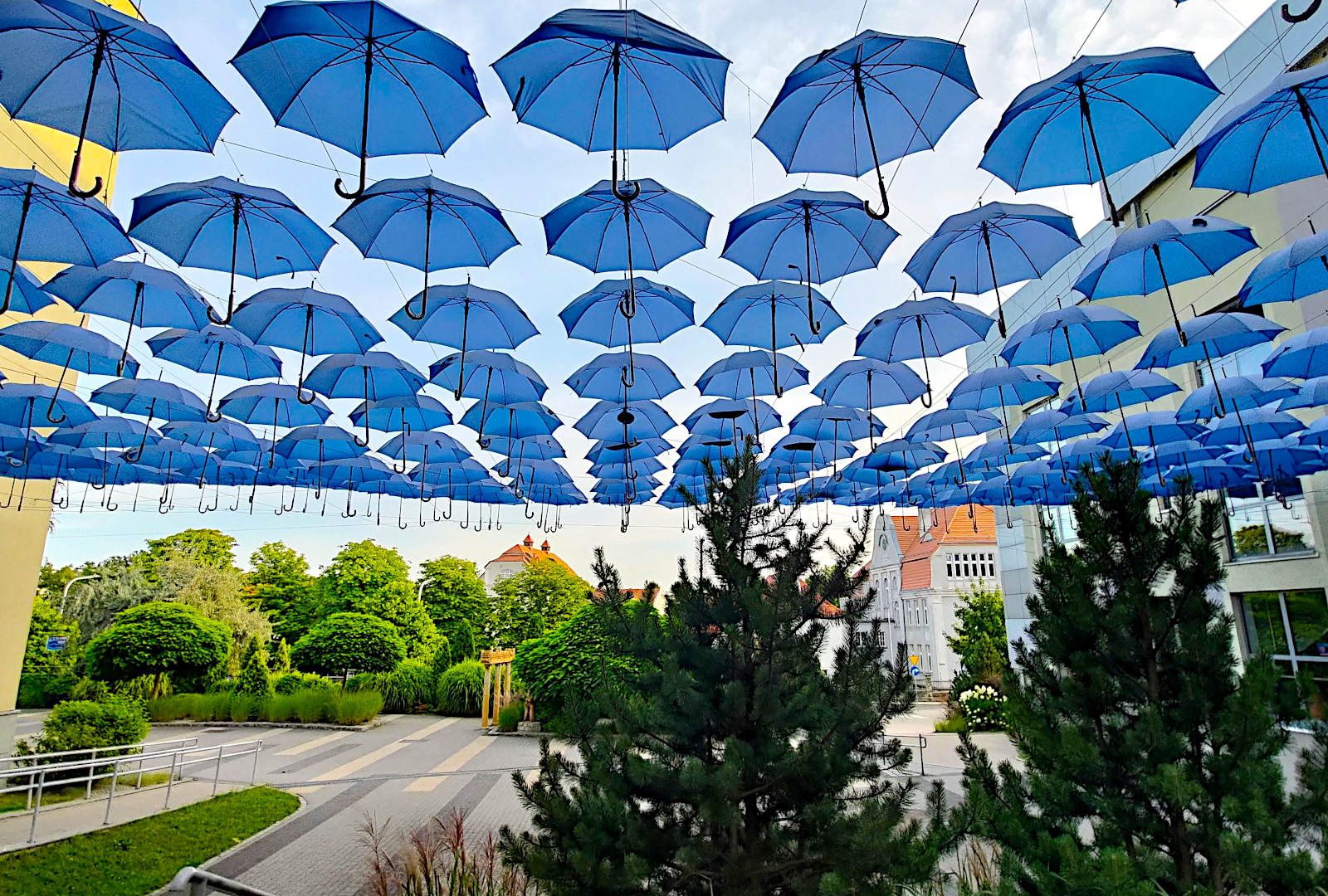 parasol dekoracja bok-mcc