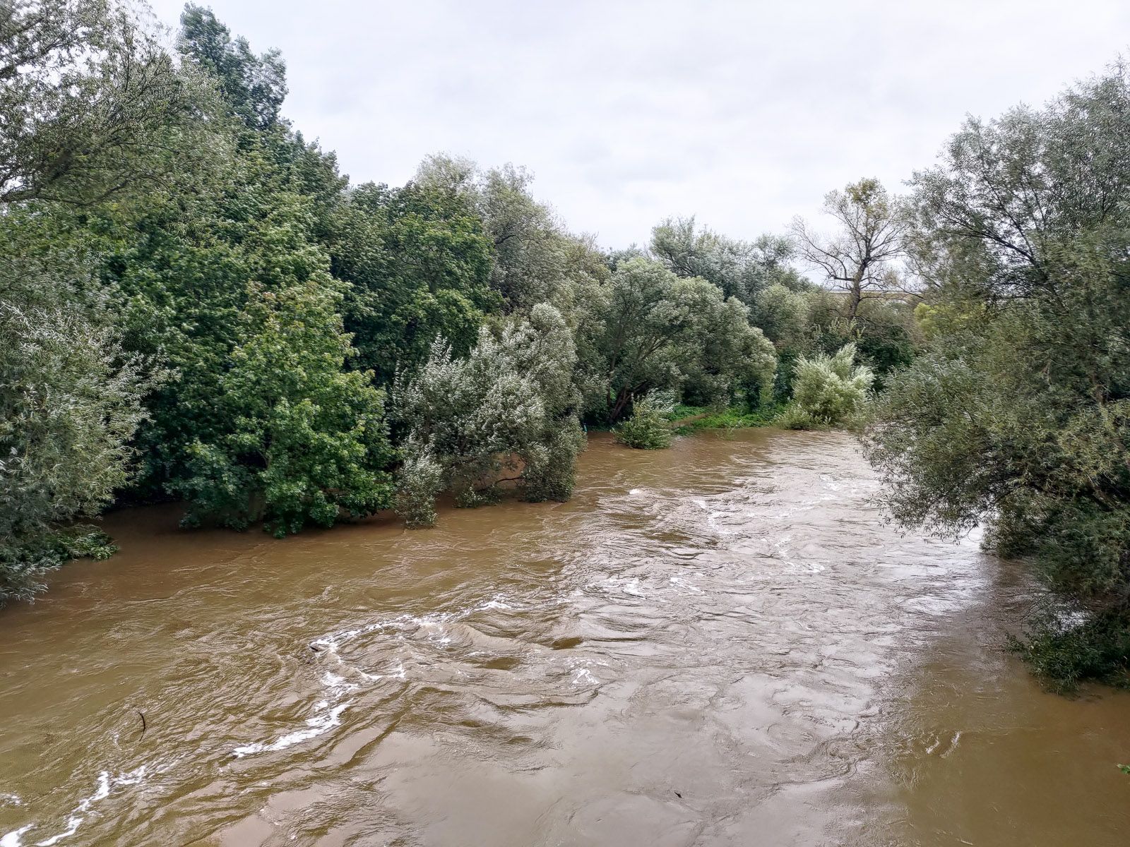 bóbr rzeka