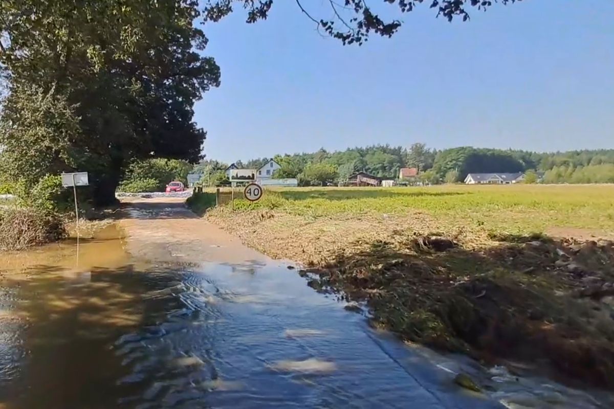 krępnica