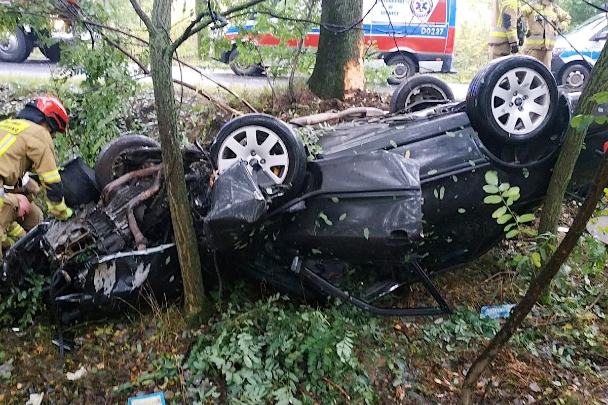 dachowanie audi złotoryja