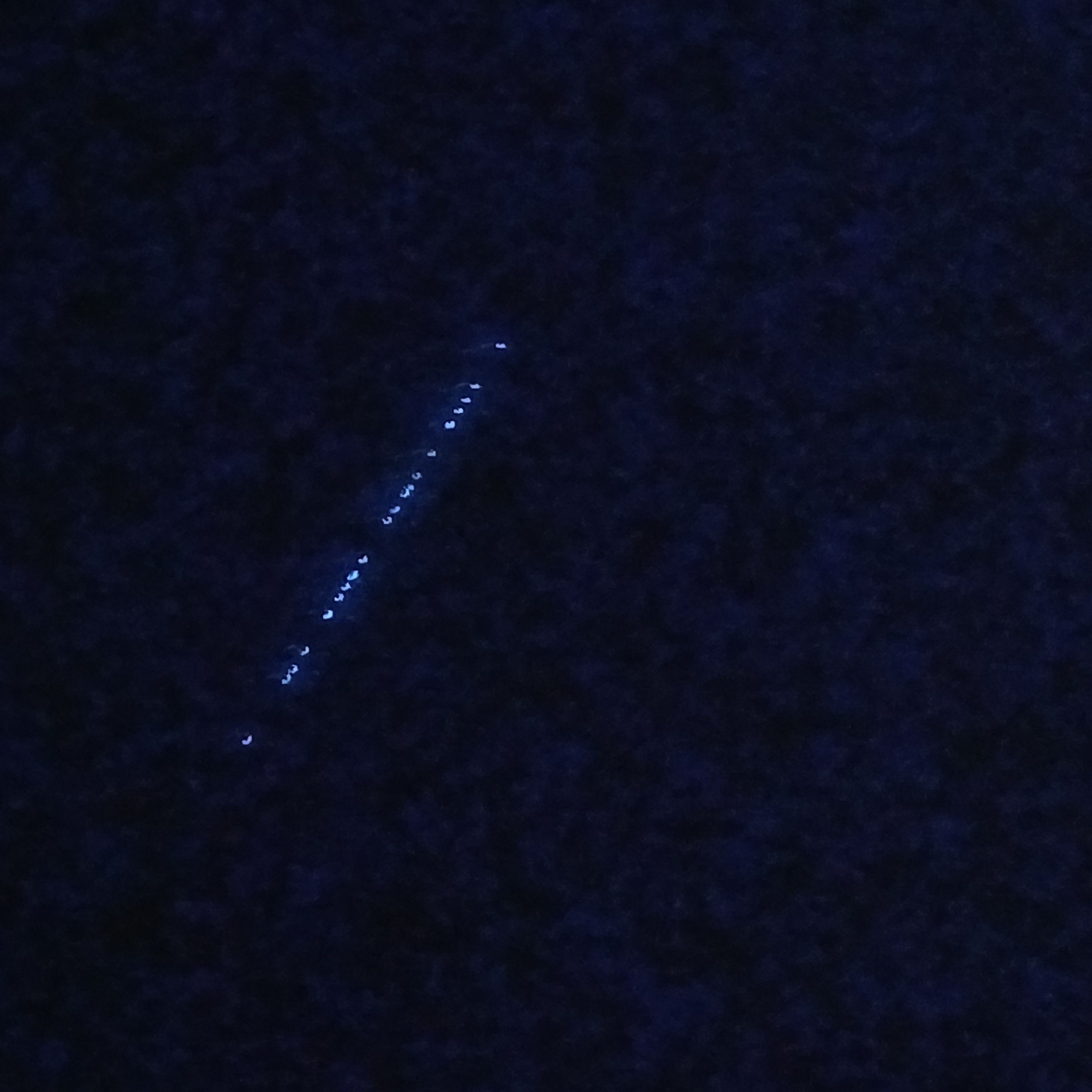 Obiekt niebo starlink