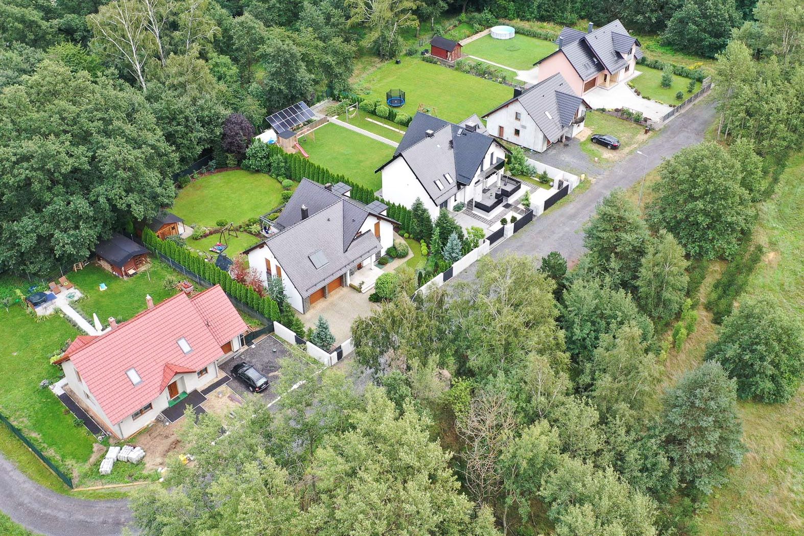 czerwonych maków