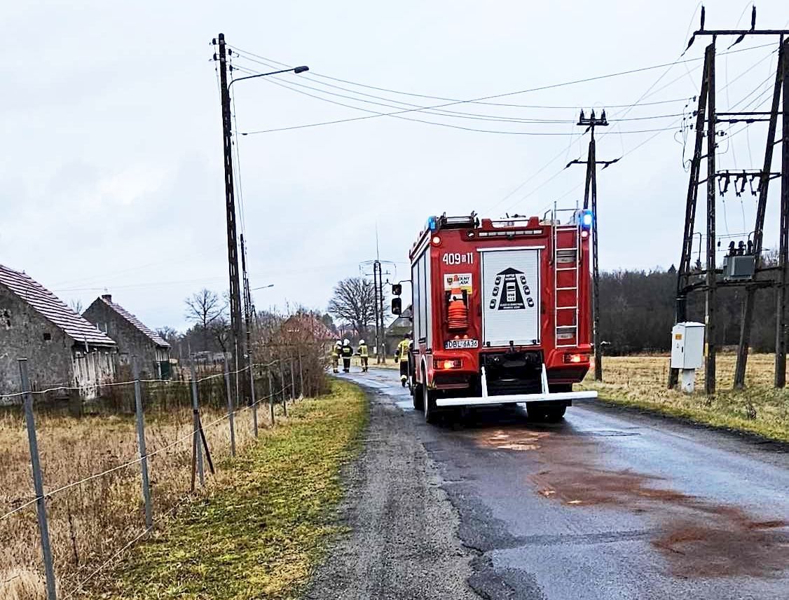 gromadka borówki osp plama oleju