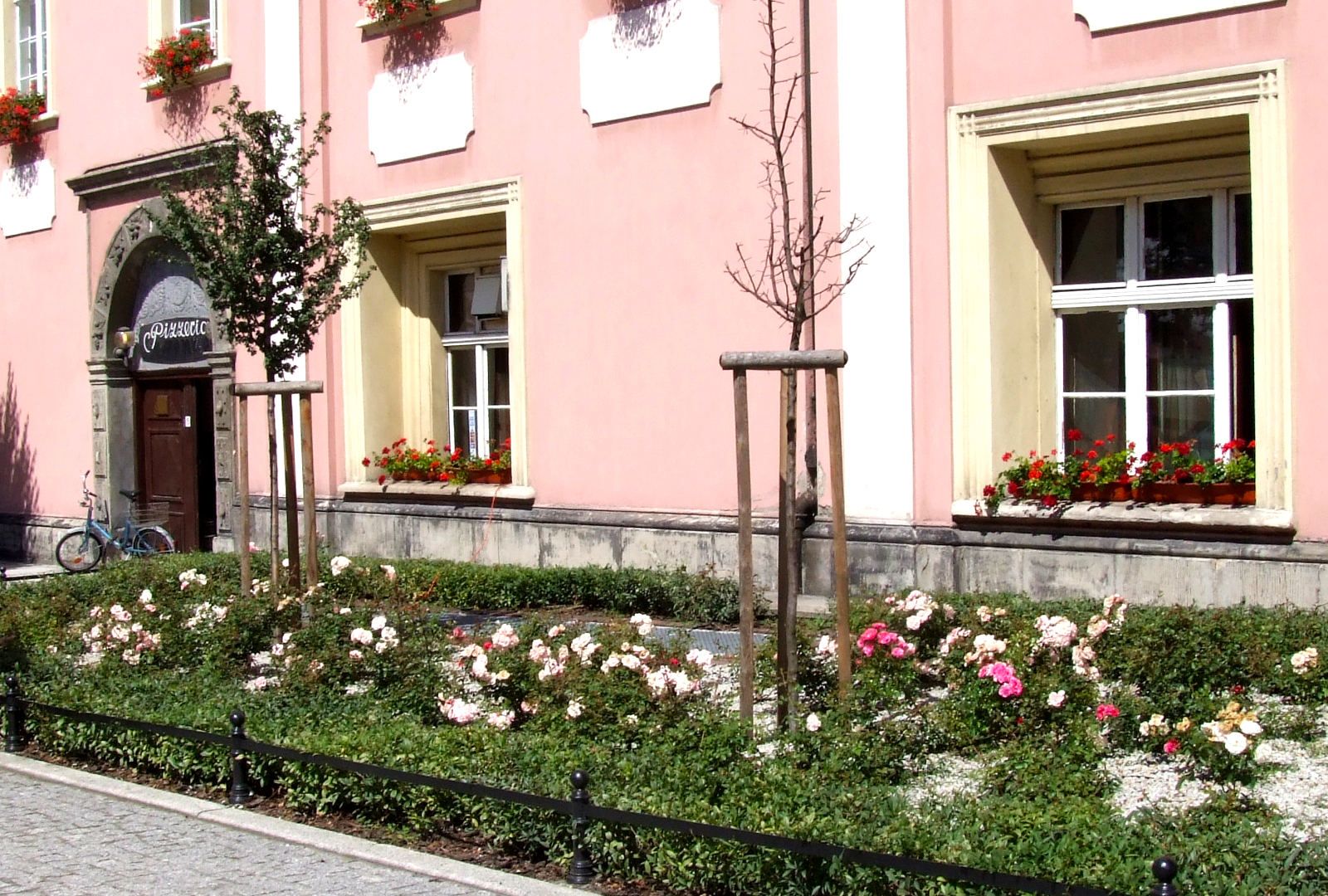 rynek sawanna lokal