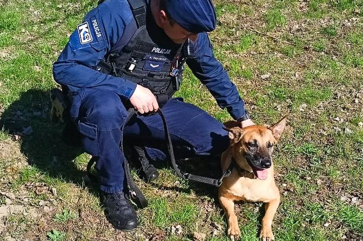 policjant pies